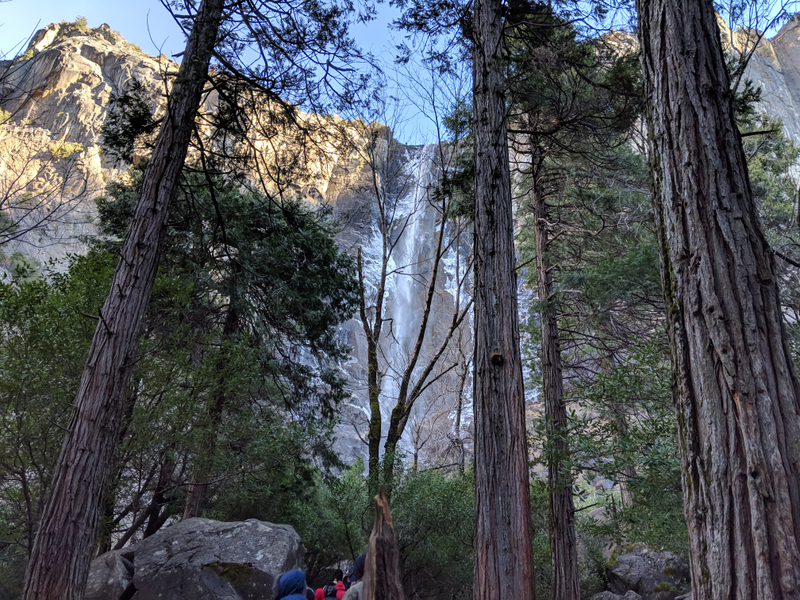 Illustration for article titled Toby in Yosemite